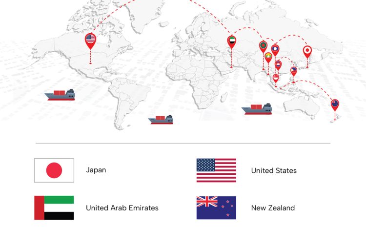  Cat Van Loi: Expanding the Global Export Network for MEP Materials